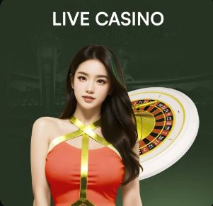 2026年4月19日奥甲哈特堡格vs维也纳快速直播【24直播网】